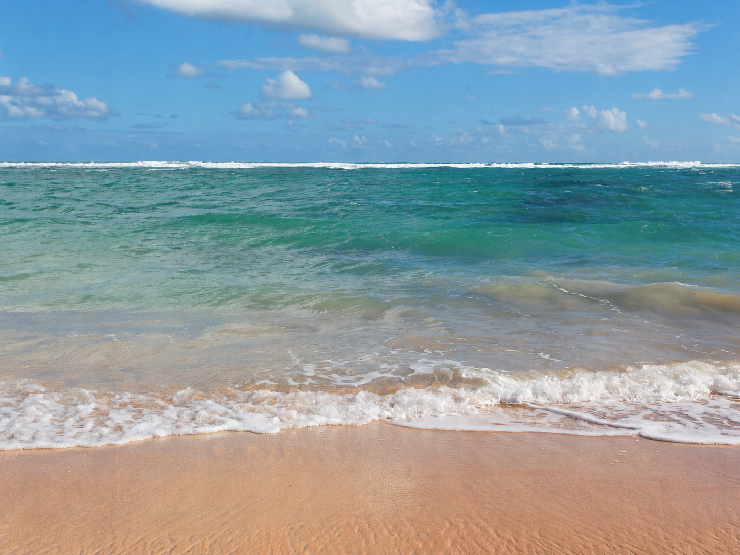 praia de armação 02